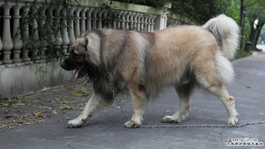 20130725_4yr8m_003_UHD.JPG