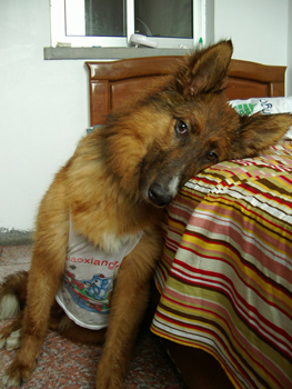 20051011174948.jpg