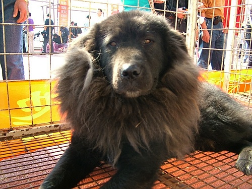 20051013213621.jpg
