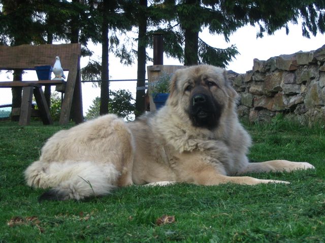 20051017194724.jpg