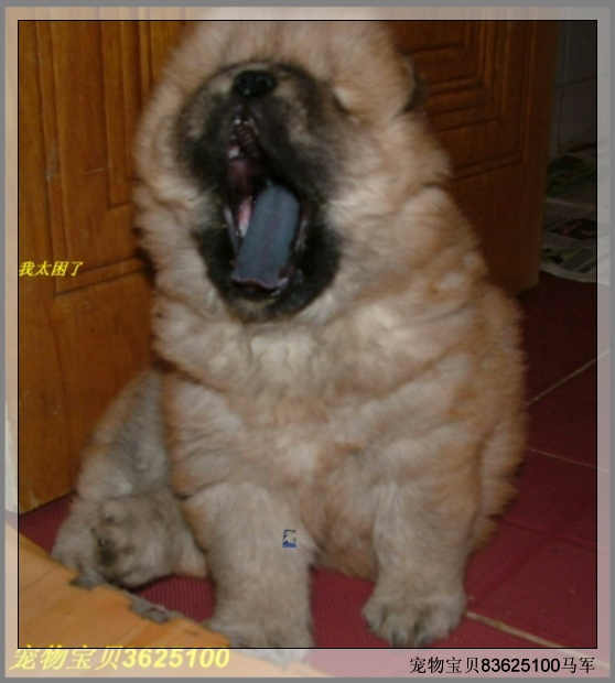 20051027233054.jpg
