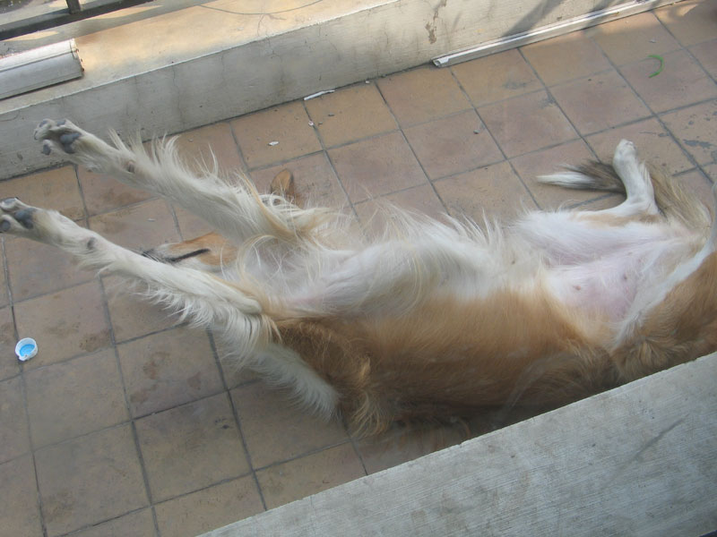 2005107225613.jpg