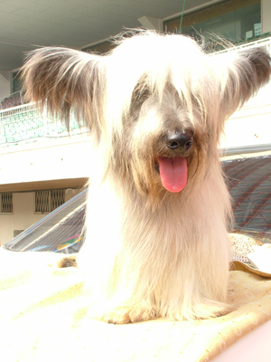 2005108165059.jpg