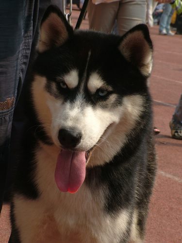2005108165402.jpg