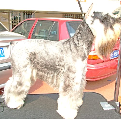 2005108165518.jpg