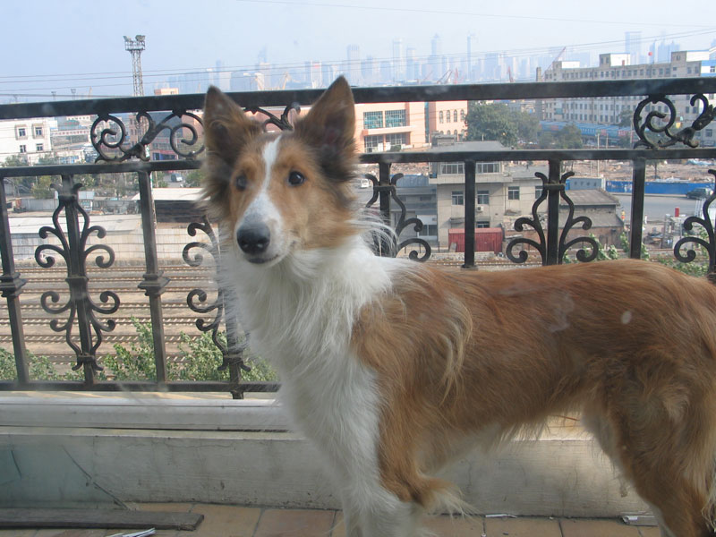 20051114224201.jpg