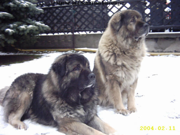 2005117144630.jpg