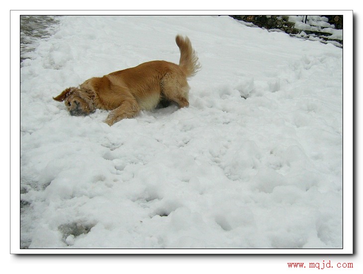 2005123220517.jpg