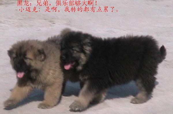 2005228153534.jpg