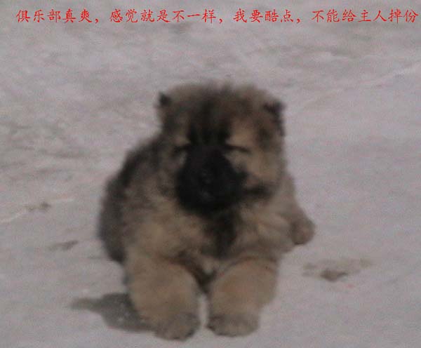 2005228153817.jpg