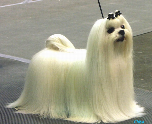 2005421111407.jpg