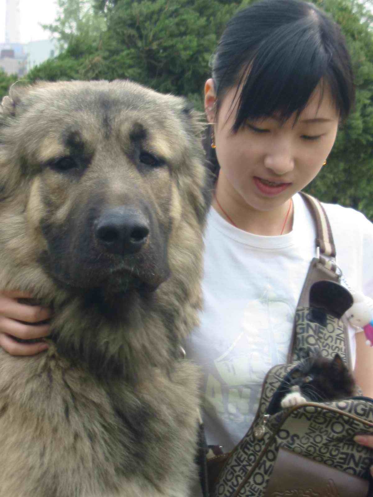 2005425125851.jpg