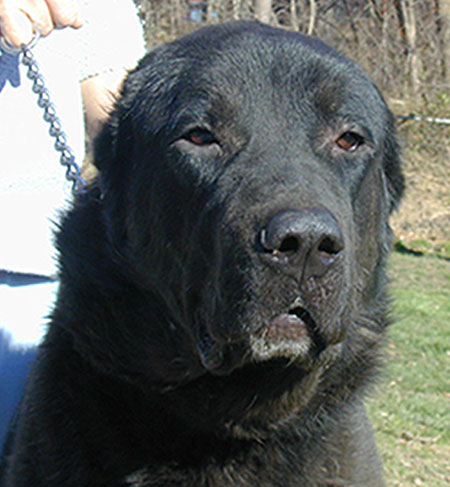 200547151931.jpg