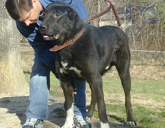 200547151957.jpg