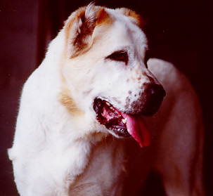 200547152136.jpg