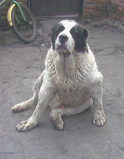 2005512204352.jpg