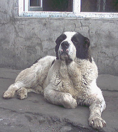 2005512204415.jpg