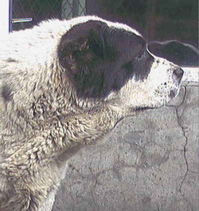 2005512204433.jpg