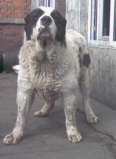 2005512204448.jpg