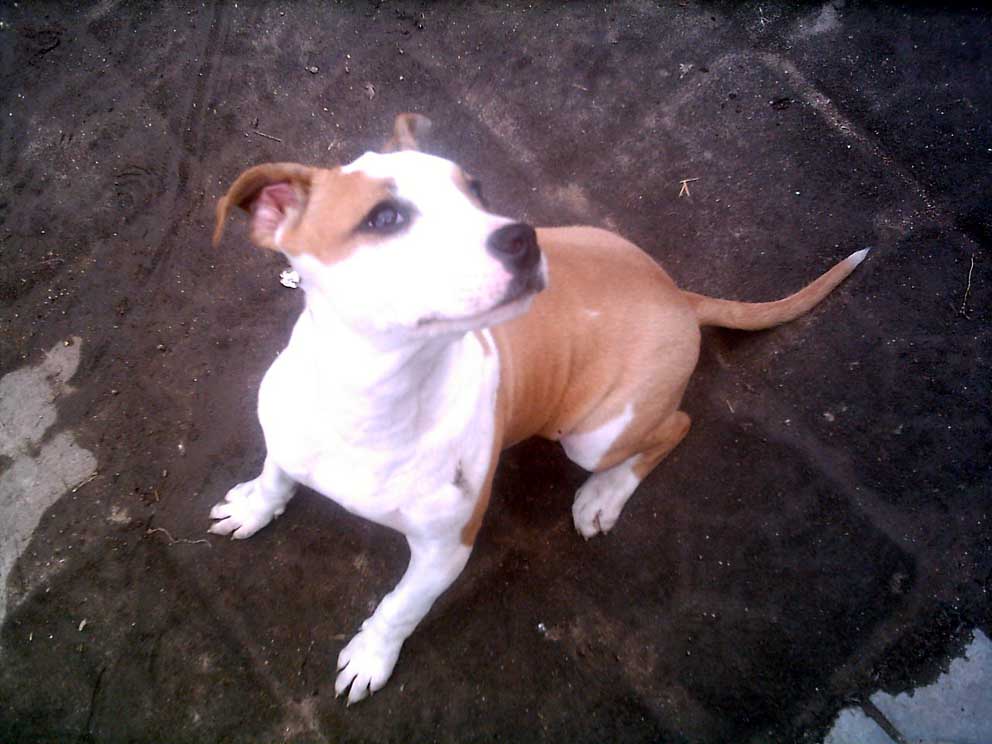 2005524114723.jpg