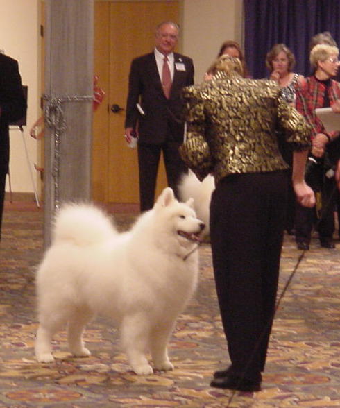 2005530193317.jpg