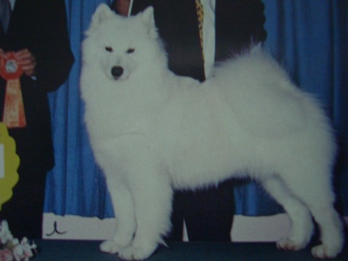2005530193408.jpg