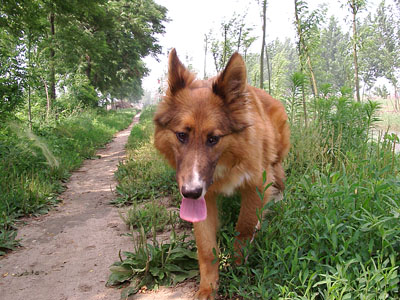 200562992703.jpg