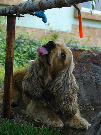 200564214117.jpg