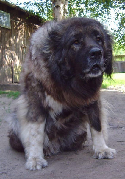 200564233536.jpg
