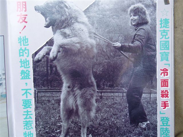 20056611854.jpg