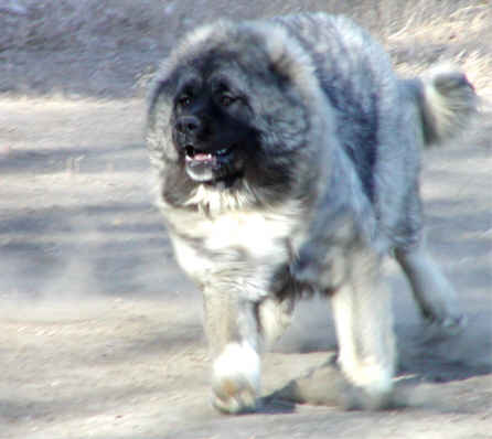 20056611914.jpg
