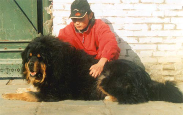 20056613543.jpg