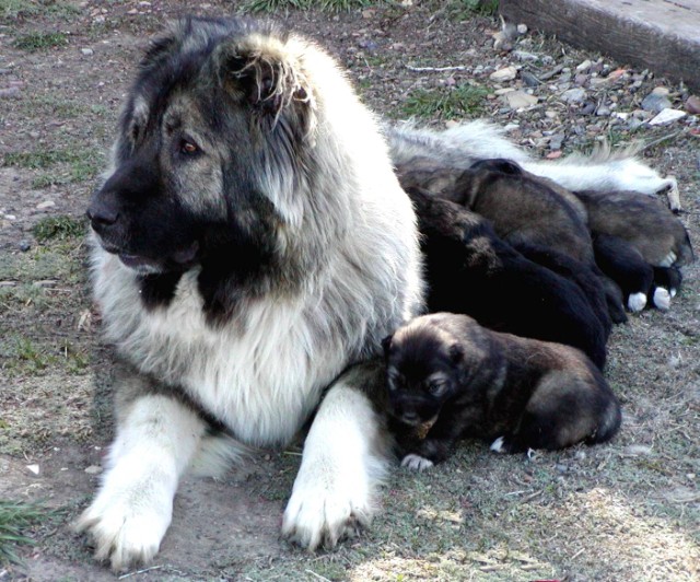 2005720230131.jpg