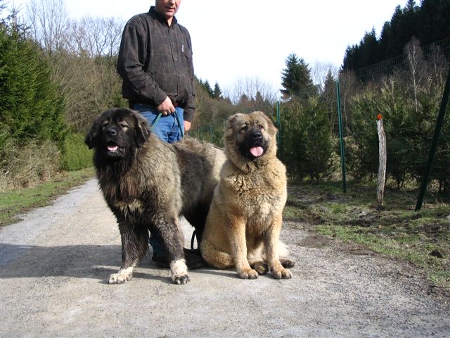 2005720230454.jpg