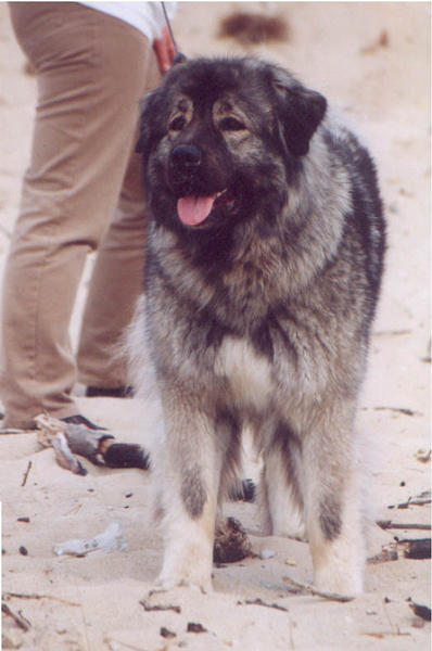2005720230509.jpg
