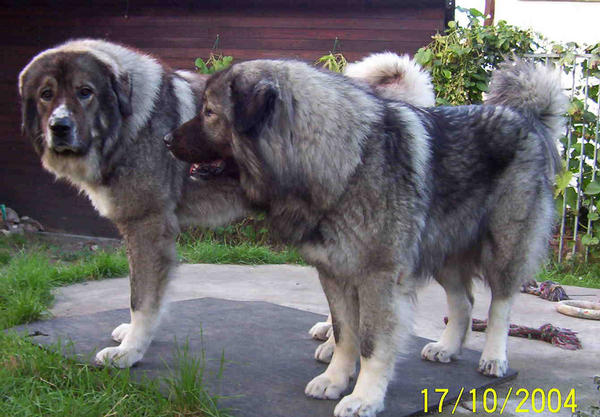 2005720230737.jpg