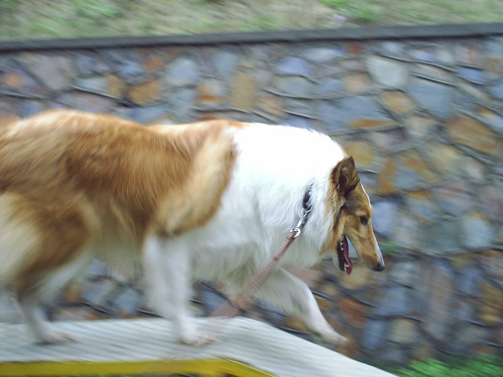 2005825140306.jpg