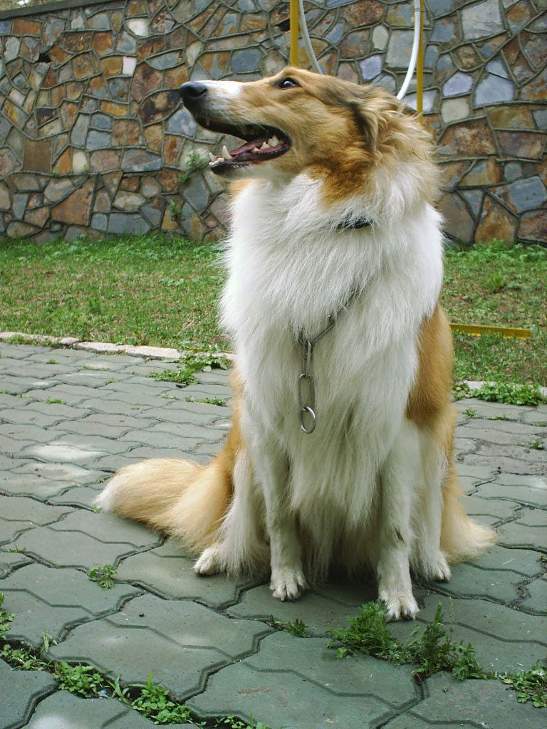 2005826100637.jpg