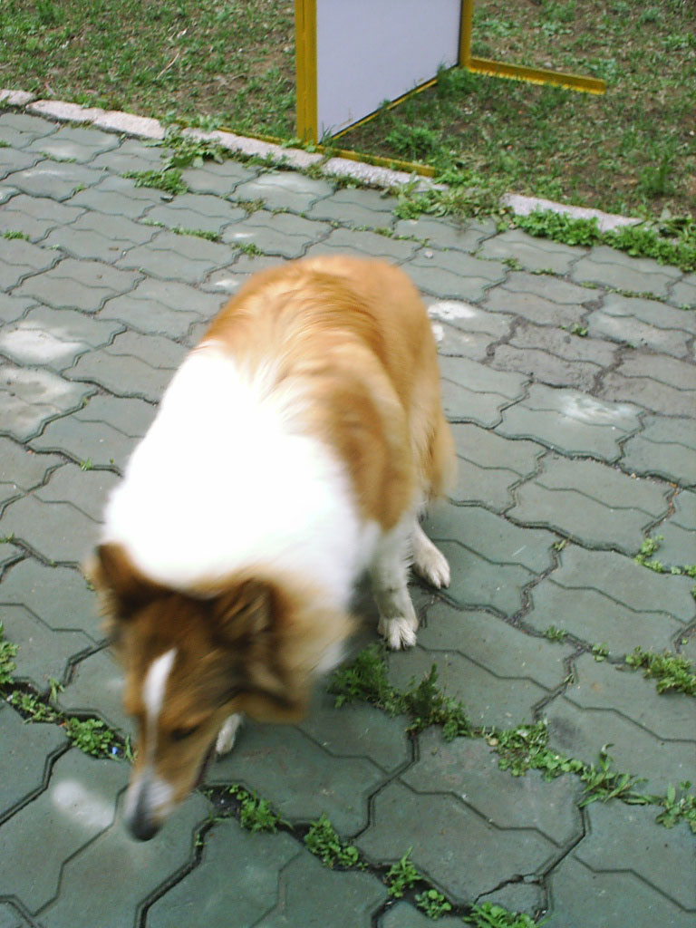 2005826100743.jpg