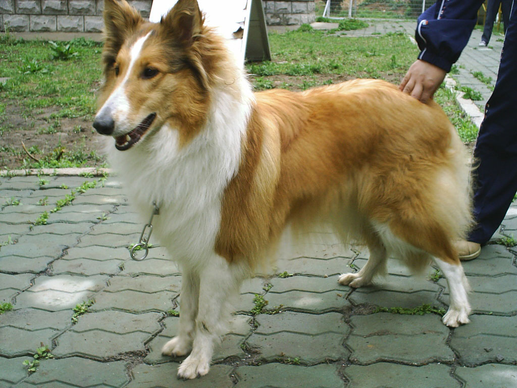 2005826100930.jpg