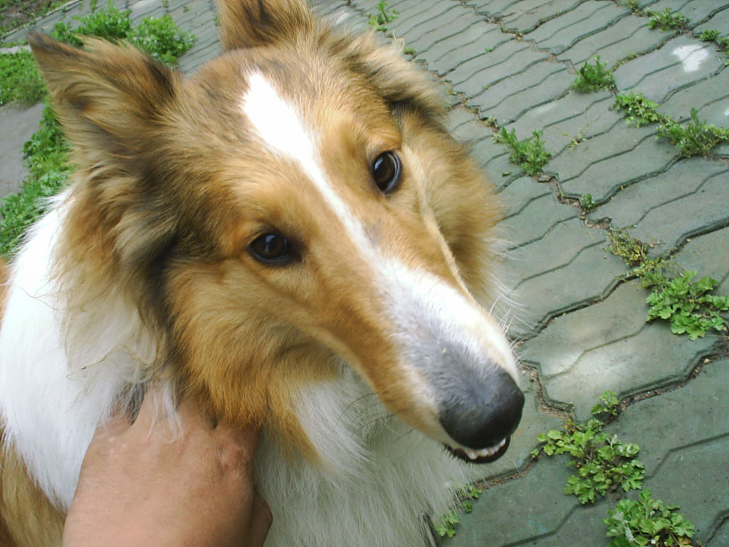 2005826101043.jpg