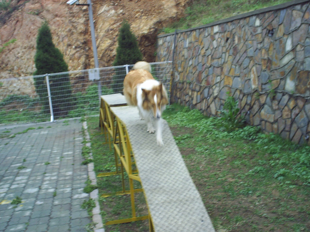 2005826101157.jpg