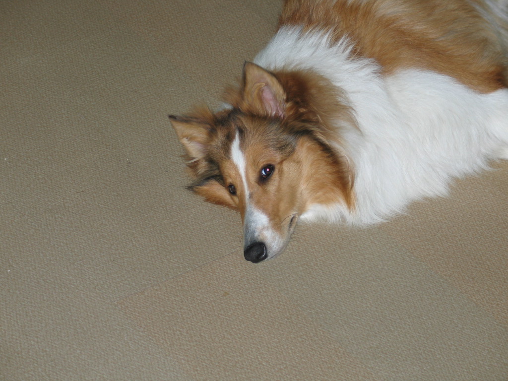 2005827131333.jpg