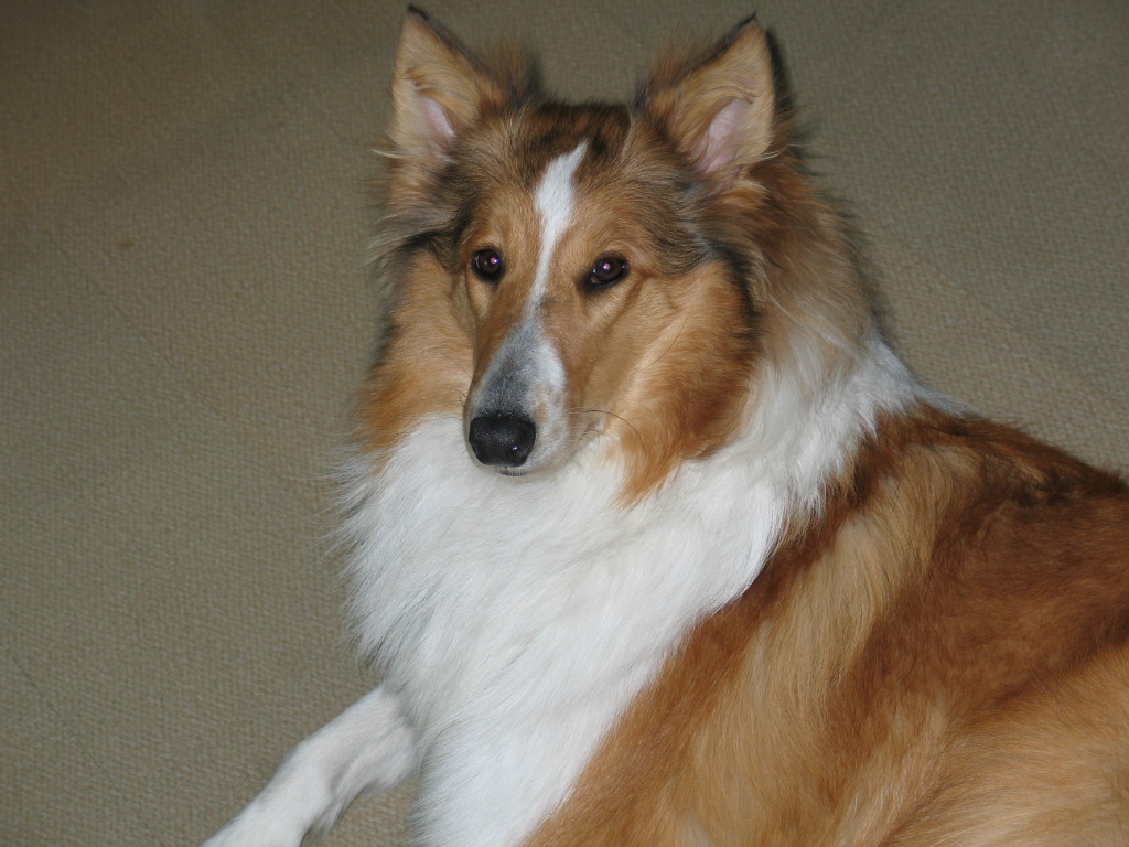 2005827131610.jpg