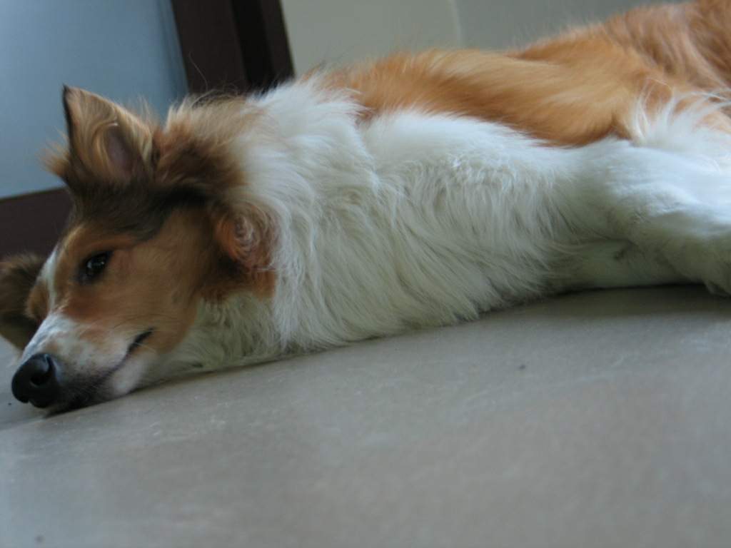 2005827131718.jpg