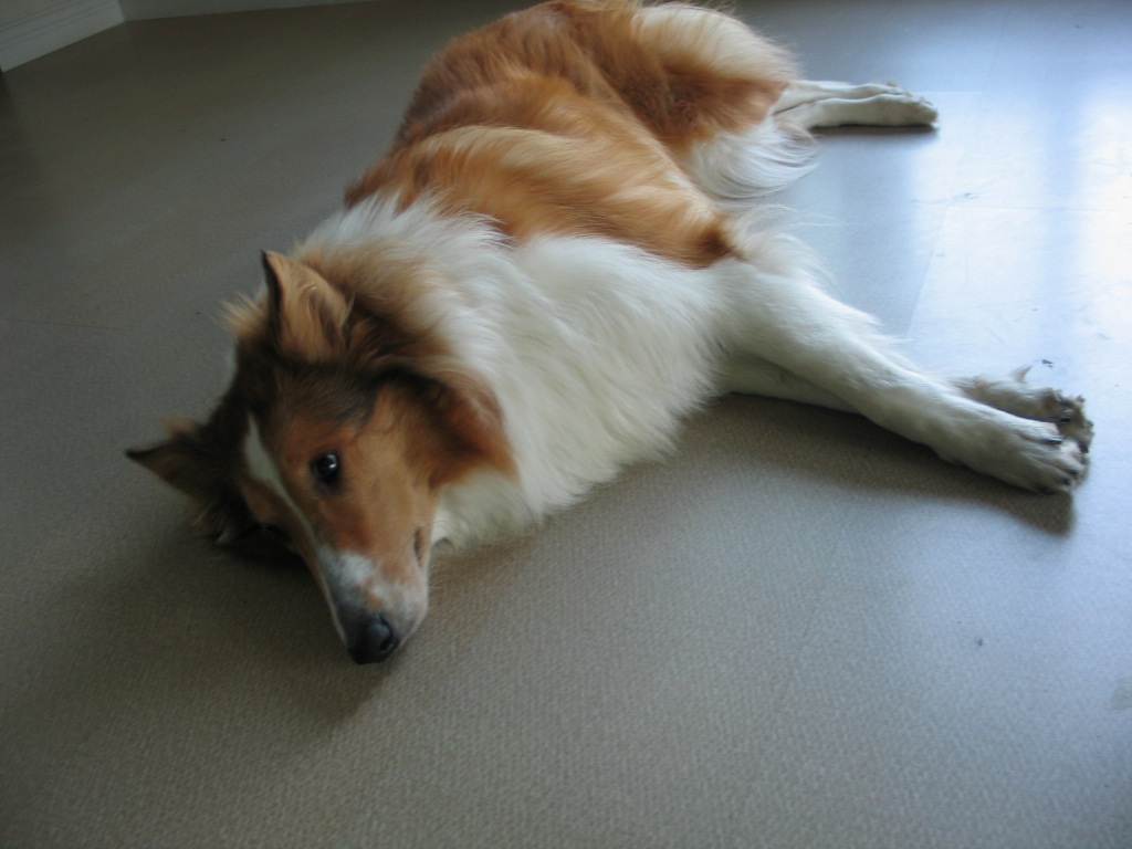 2005827131736.jpg