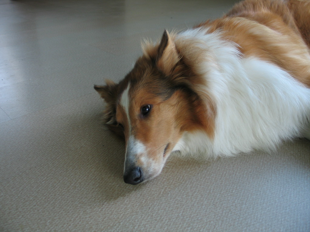 2005827131802.jpg