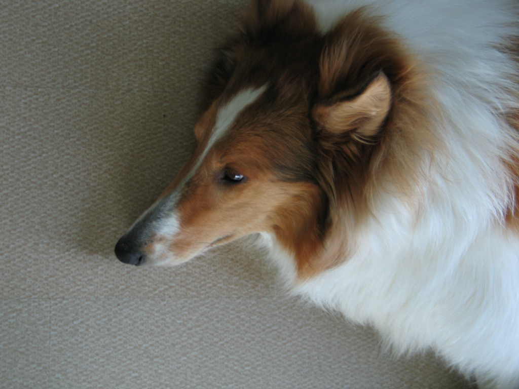 2005827131851.jpg