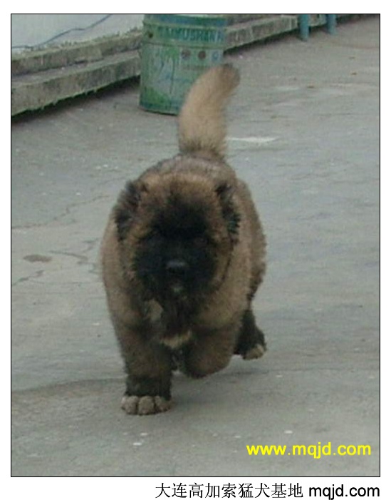 2005927133215.jpg