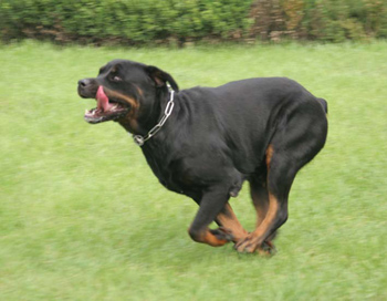 200593105353.jpg